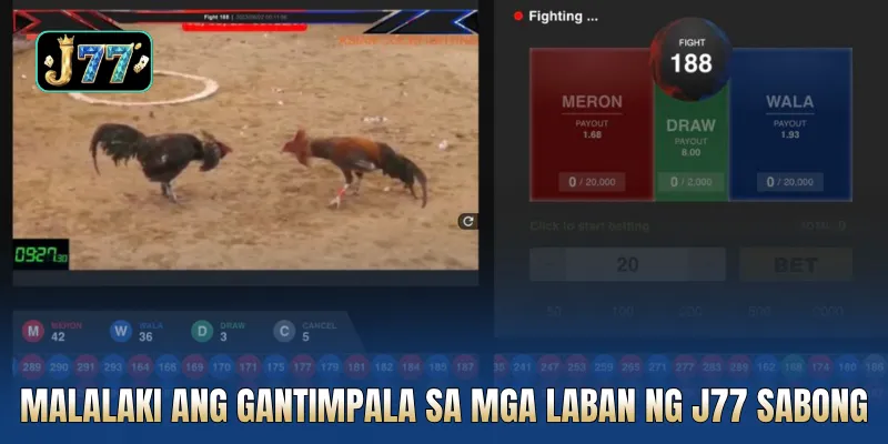 Malalaki ang gantimpala sa mga laban ng J77 sabong